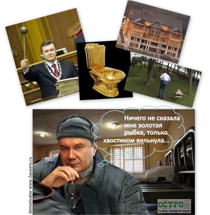 Yanukovich dem rybka Свежие жабы и мемы Майдана и Антимайдана.