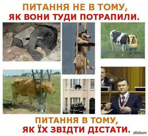 Вопрос не в том как они туда попали, а как их оттуда досать? К посту <a href="http://pikabu.ru/story/inogda_zadumyivaeshsya_kak_oni_syuda_popali_1485746">http://pikabu.ru/story/_1485746</a>  Янукович, Виктор Янукович, как