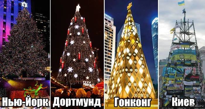 Яныка на "йолку"! Елки на площадях разных стран в данный момент.  Янукович, Украина, Йолка, Новый Год, Революция, Протест