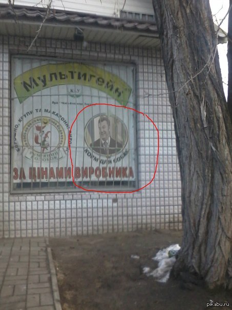 Вот такое чудо увидел у себя в городе   Янык, Янукович