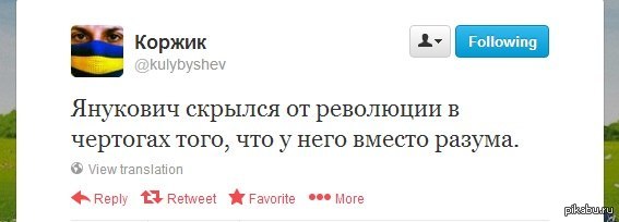 Мистер Виктор   Янукович, чертоги разума