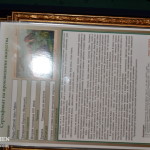 дом-пшонки--музей-коррупции267