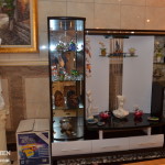 дом-пшонки--музей-коррупции28