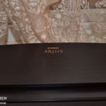 дом-пшонки--музей-коррупции78