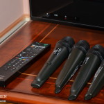 дом-пшонки--музей-коррупции91