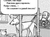 Шансы и рефлексы украинцев и русских. Быть свободным человеком или собакой Павлова зависит только от тебя.