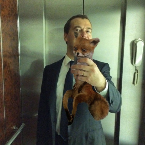 Медведев селфи жабы айфон лифт инстаграм новые жабы22