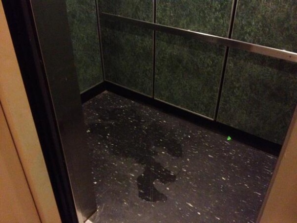 Медведев селфи жабы айфон лифт инстаграм новые жабы1