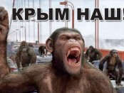 Классификация "россиян" по мере приближения к психозу. Дарвину и не снилось.